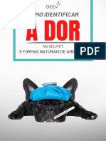 A Dor: Como Identificar