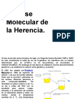 La Base Molecular de La Herencia.: Tema 16