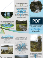 Conservación: Conservacion de Fuentes Hidricas