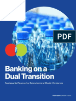 Banking On A Dual Transition