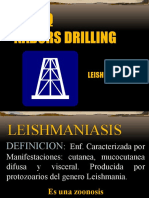.S.E.Q Nabors Drilling: Leishmaniasis
