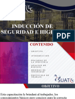 Inducción de Seguridad E Higiene