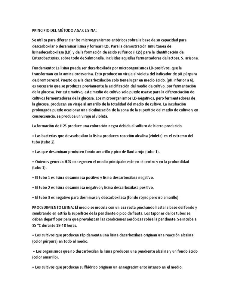 Lisina PDF Lisina Microbiología
