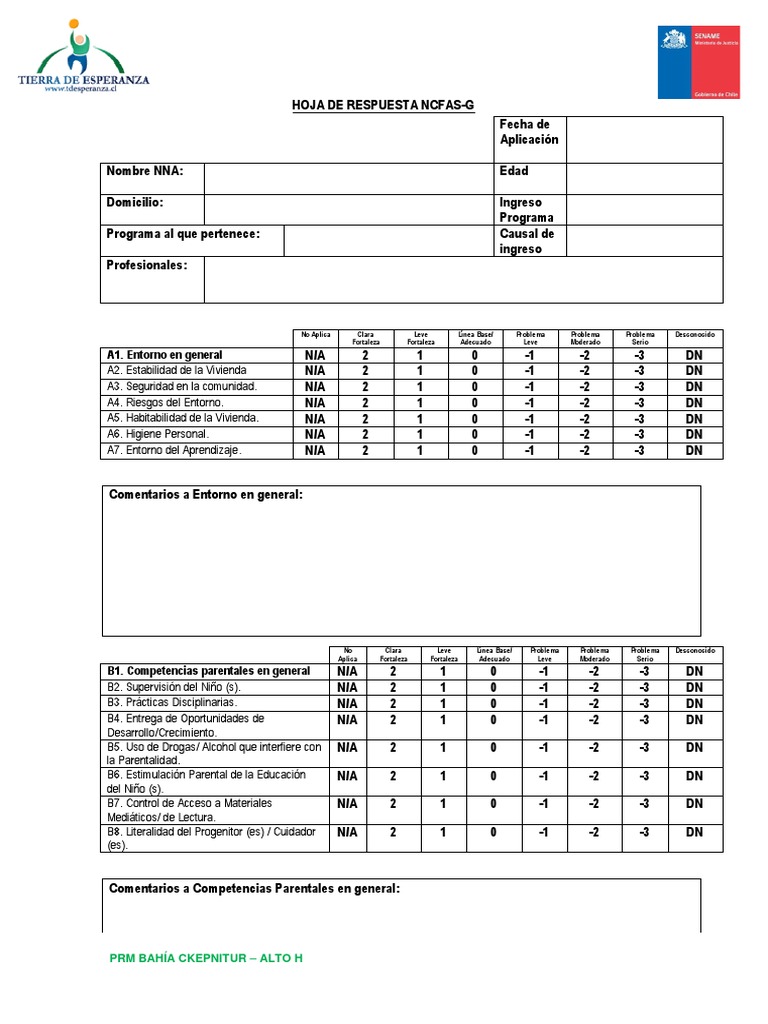 Evaluación NCFAS-G Familiar y Social | PDF | Teoría de juego ...