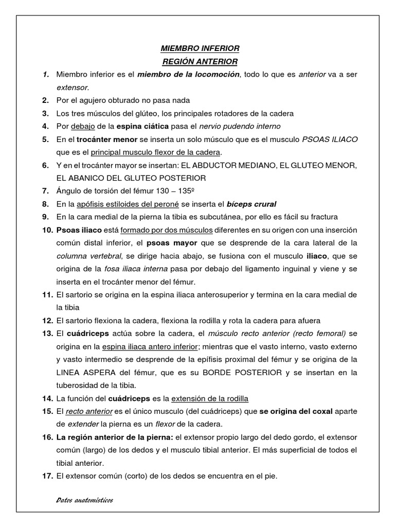 Miembro Inferior. Ba | PDF | Anatomía humana | Sistema musculoesquelético