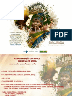 Caracterização dos povos indígenas no Brasil e no Paraná