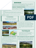 Características de la tundra como bioma frío y de baja vegetación