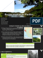 UAC - Medio Ambiente - GRUPO 6 - Ecosistemas Del Perú