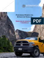 HIDALGO panorama minero
