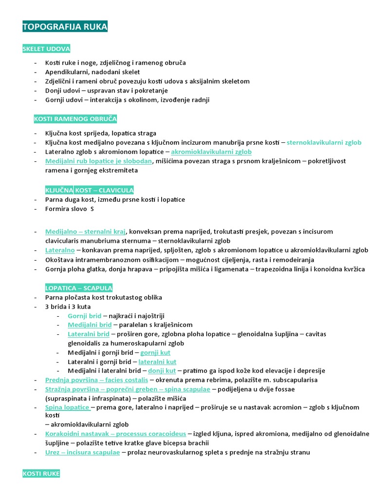 topografija ruka | PDF
