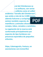 Documento4 M