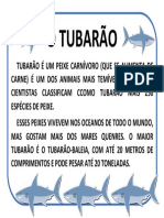 O Tubarão