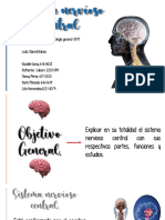 Sistema Nervioso Central