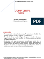 Curso técnico em prótese dentária - anatomia dental