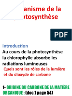 Mécanisme de La Photosynthèse