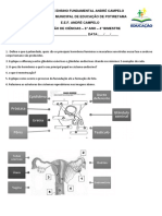 Avaliação 4° Bimestre 8° Ano