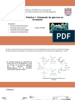 Cuestionario. Práctica 1. Transporte de Glucosa en Levaduras