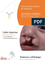 Universidad Catolica de Honduras Anomalías Congenitas: Laboratorio de Embriología Practica # 9