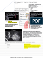 Infecciones Bacterianas Del Tracto Respiratorio: Martes, 25 de Agosto de 2020 3:24 P. M