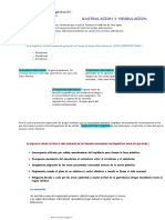 Tercera Semana de Gestación: Gastrulacion Y Neurulacion