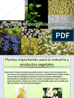 Plantasdeimportanciaeconomica 111124152322 Phpapp01
