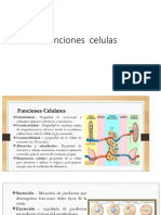 Funciones Celulas