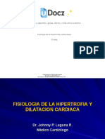 Accede A Apuntes, Guías, Libros y Más de Tu Carrera: Fisiologia-De-La-Hipertrofia-Cardiacaexp 33 Pag