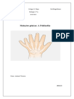 Mutações Génicas: A Polidactlia: Colégio D. Filipa Biologia 12º A 2023/2024