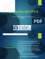 Replicación Del DNA: Aplicaciones de Biología Molecular - BT2020