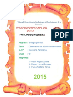 Informe #08