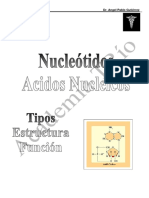 01-Acidos Nucleicos Generalidades