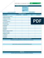 IC Introductory Performance Review Template 57089 - WORD - PT
