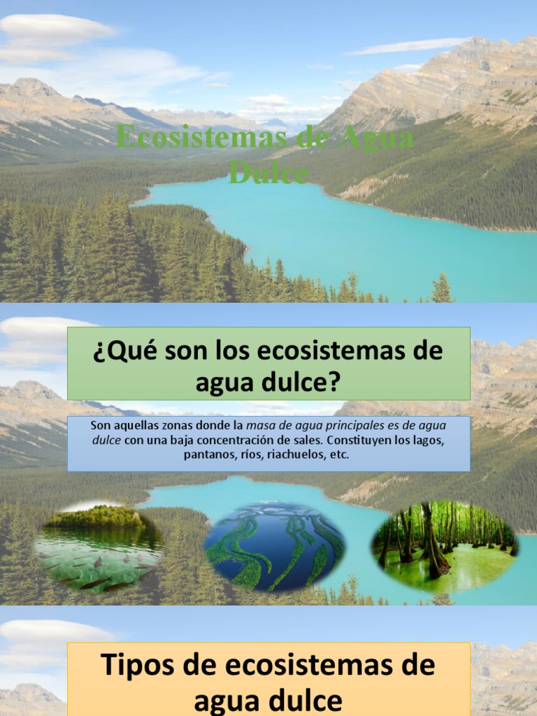 Ecosistemas de Agua Dulce | PDF