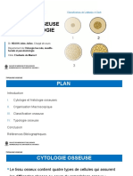 6 - Typologie Osseuse en Implantologie MBD1