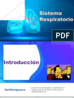 Sistema Respiratorio