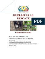 Huellitas Al Rescate: Guardería Canina