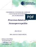 Procesos Básicos 1: Sensopercepción: Universidad Autonoma de Campeche Facultad de Humanidades Lic. en Psicologia