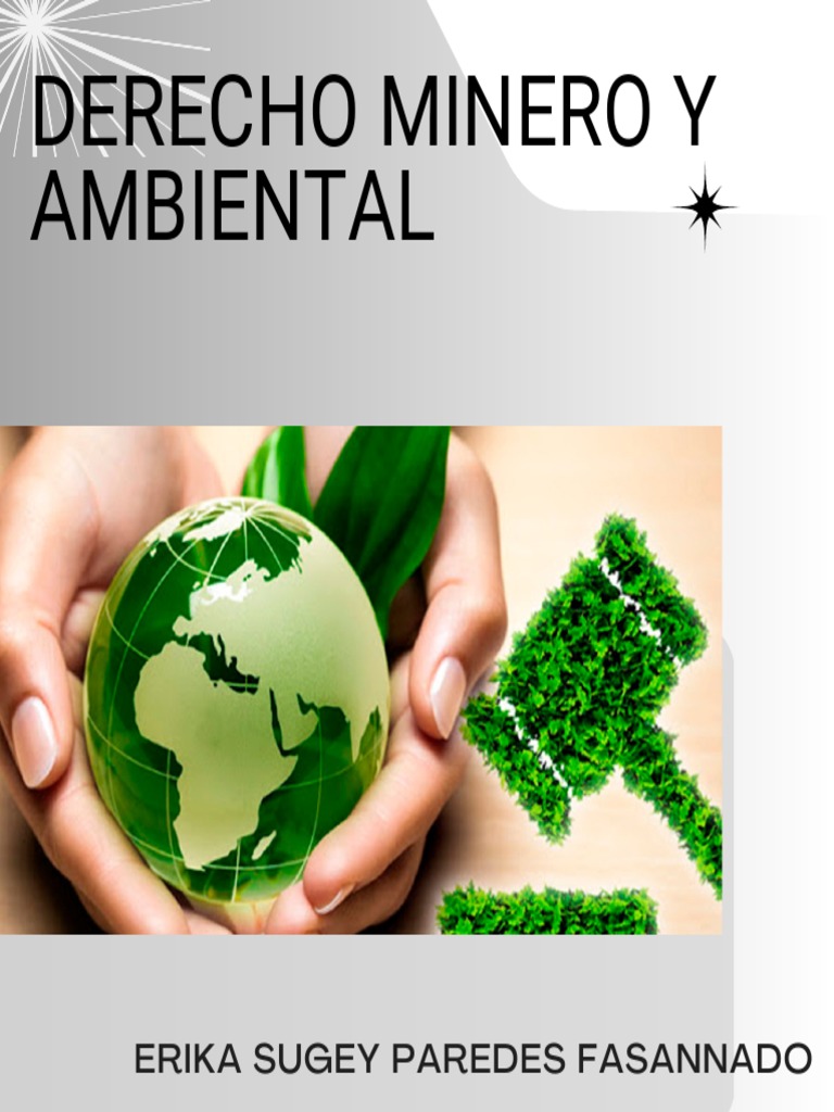 Derecho Minero y Ambiental | PDF | Entorno natural | Sustentabilidad