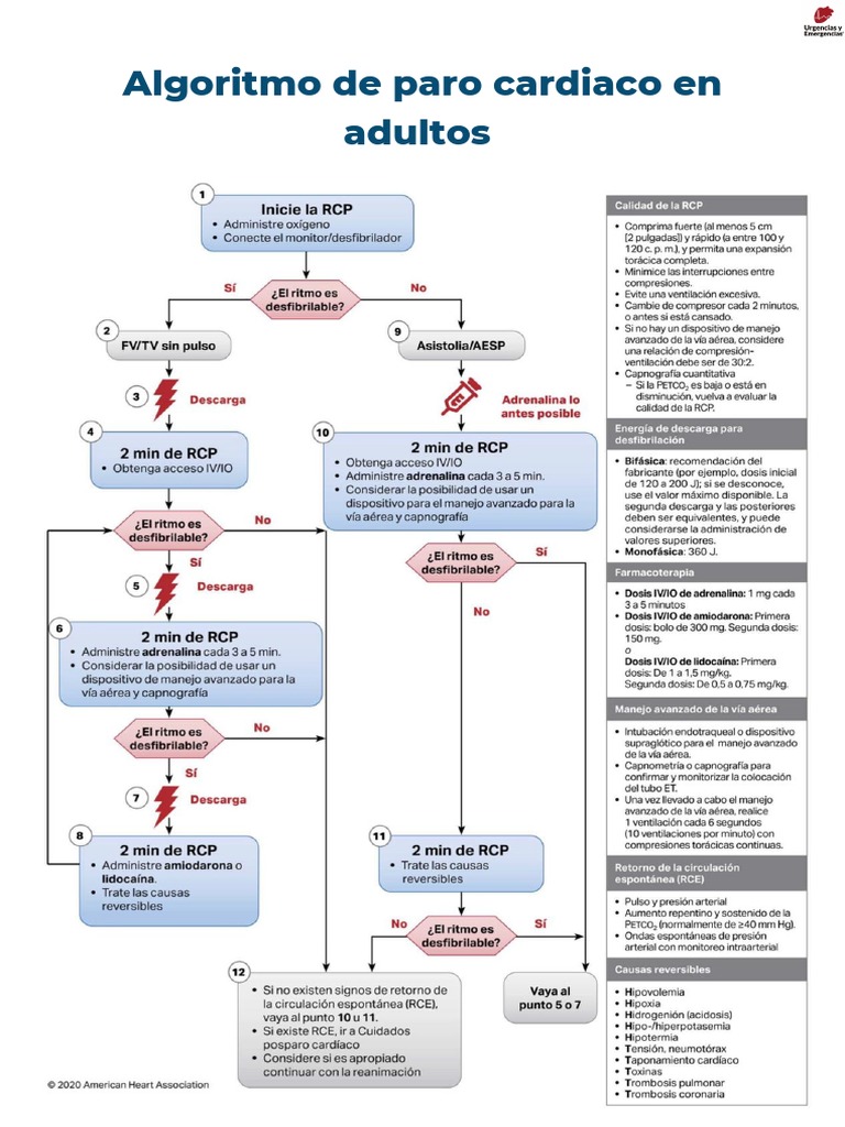 Algoritmos AHA 2020 Urgencias y Emergencias V.4 | PDF
