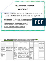 Planeacion Pedagogica MARZO 2023