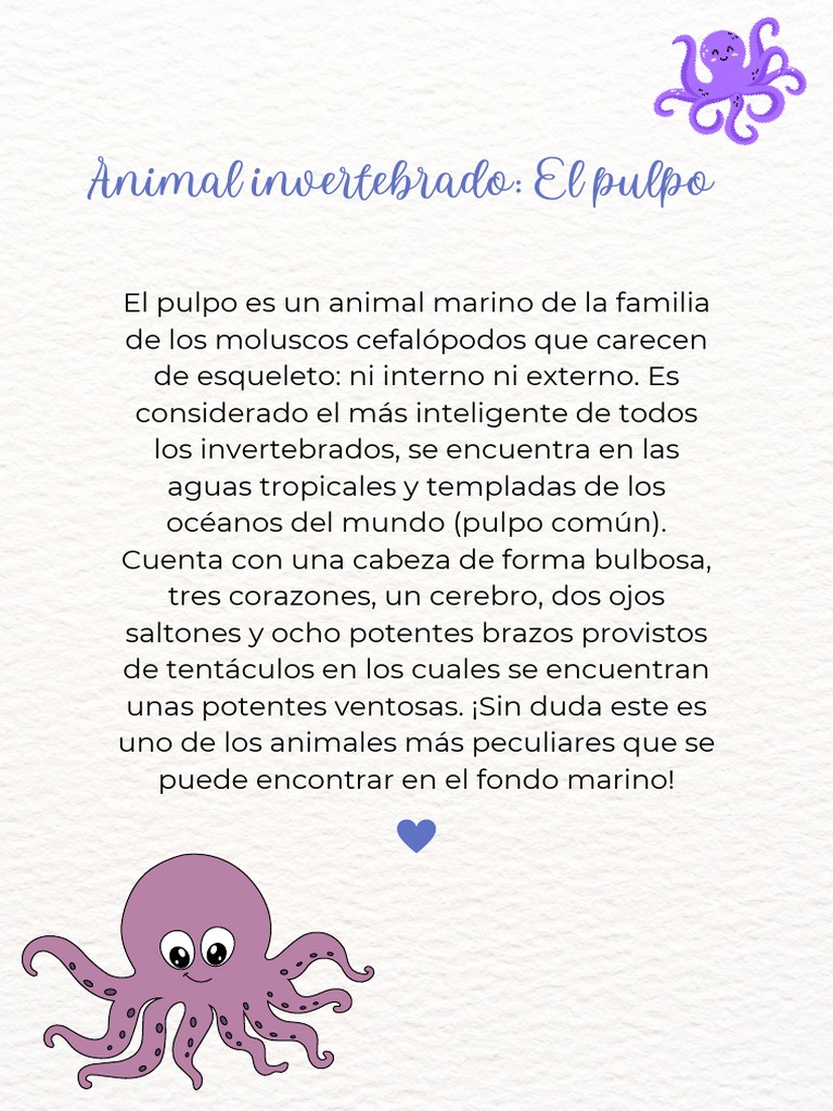 El pulpo: un invertebrado marino | PDF | Ciencia y matemáticas | Libros ...
