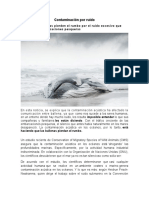 Contaminación Por Ruido: Noticia