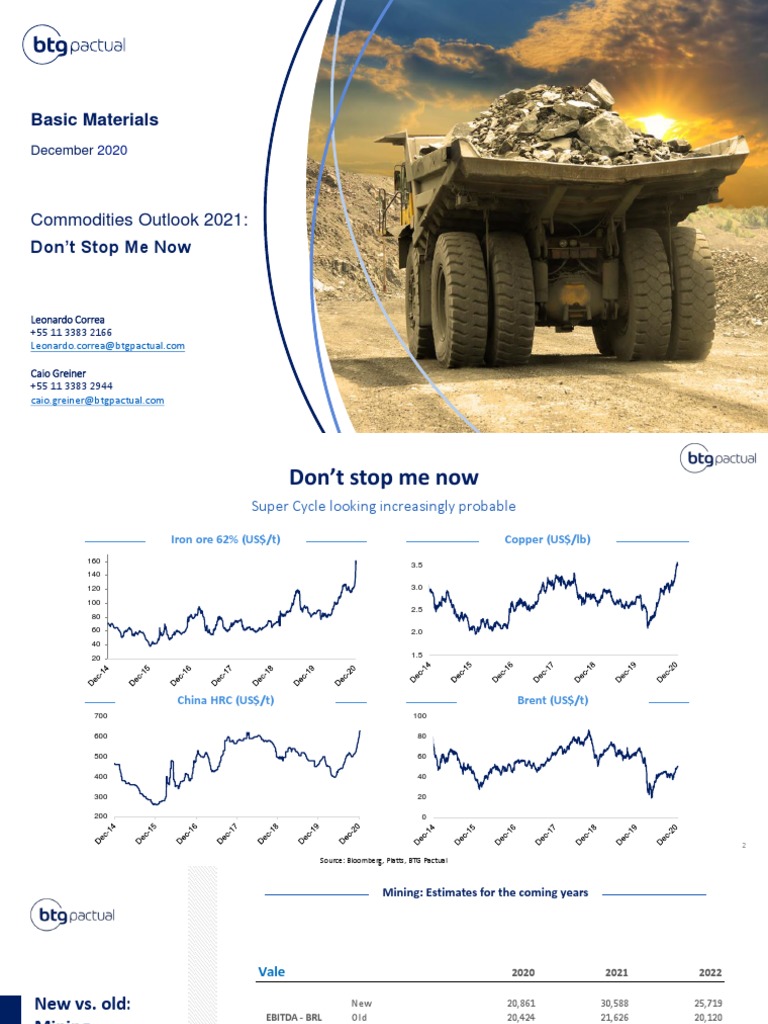 Basic Materials Commodities Outlook 2021 PDF Companies Steel