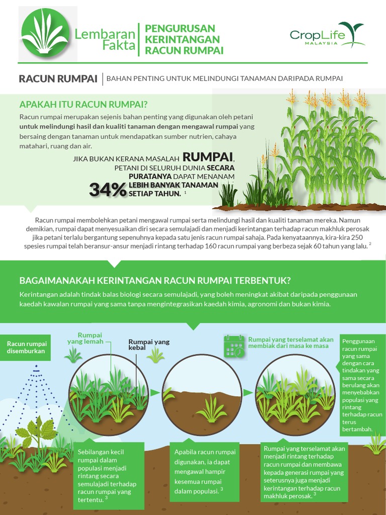 Panduan Racun Rumpai untuk Petani | PDF