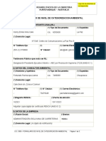 Formulario de Nivel de Categorización Ambiental DS 3856