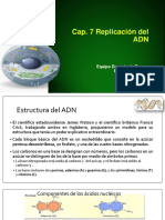 Replicación Del Adn (1) - CHM