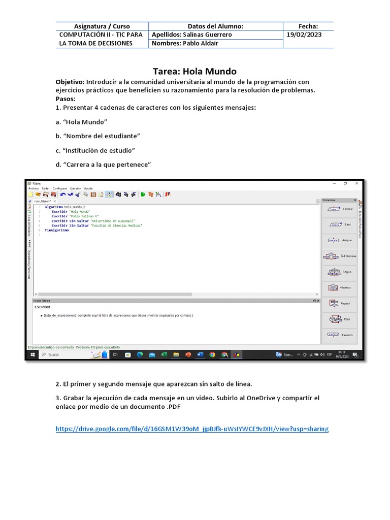 Eje 1 PSeInt Comando Escribir - Pablo Salinas | PDF