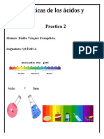 Características de Los Ácidos y Gases