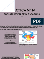 Práctica #14: Michael Kevin Mejia Tarazona