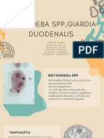 Entamoeba SPP, Giardia Duodenalis